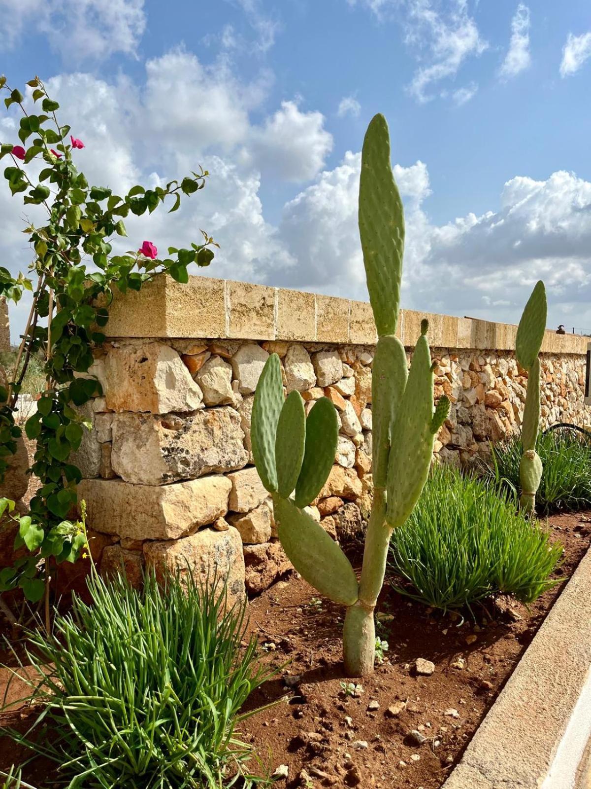 Masseria Voluzzi Copertino Eksteriør bilde