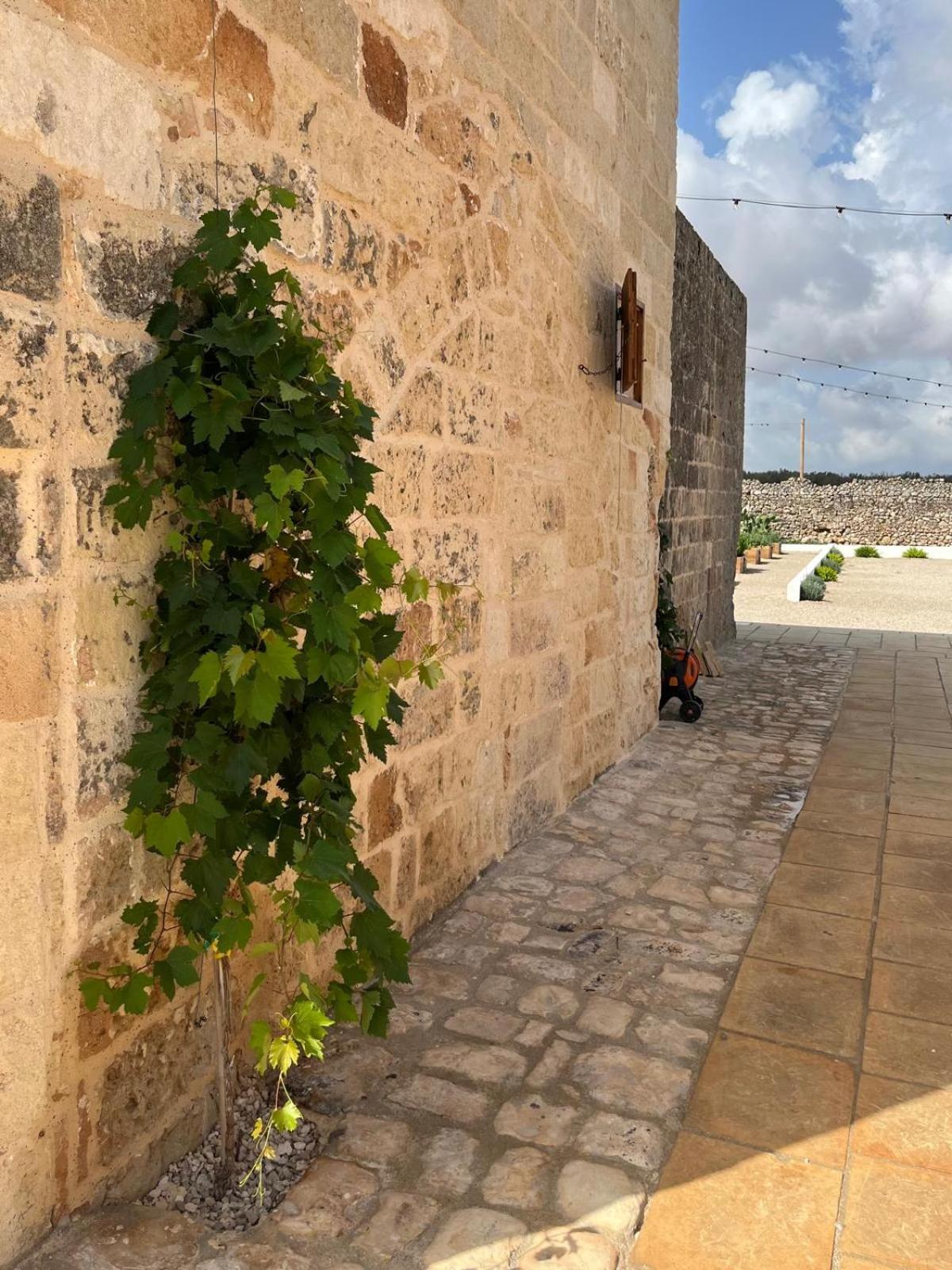 Masseria Voluzzi Copertino Eksteriør bilde